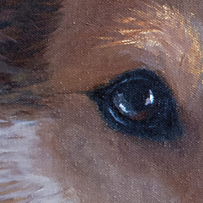 Amanda Kaay - original painting - acrylic and gold leaf - Star - dog portrait